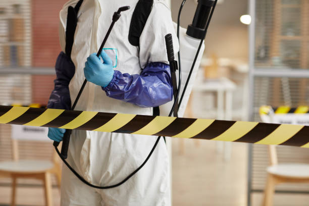 Professional Blood Cleanup technician working in Graham, WA